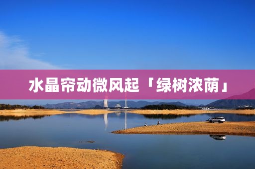水晶帘动微风起「绿树浓荫」