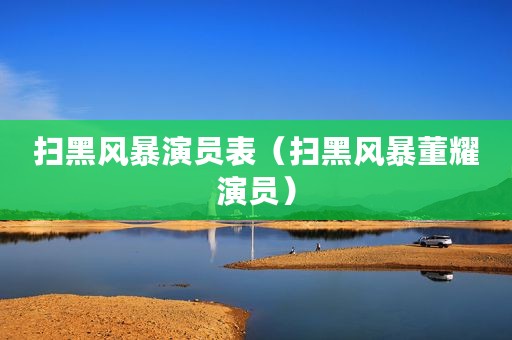 扫黑风暴演员表（扫黑风暴董耀演员）