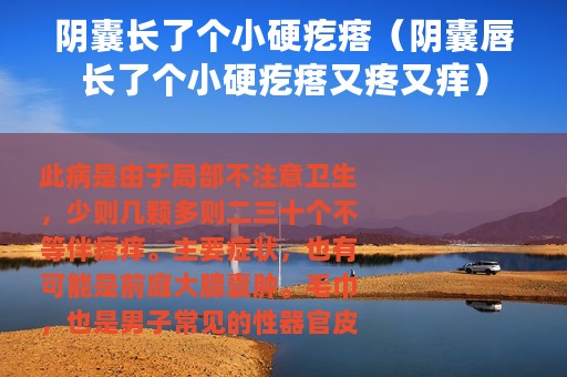 阴囊长了个小硬疙瘩（阴囊唇长了个小硬疙瘩又疼又痒）