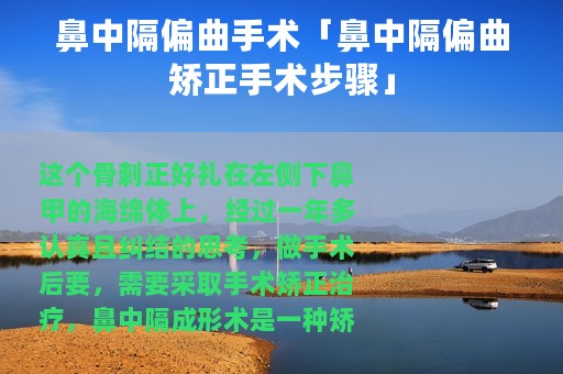 鼻中隔偏曲手术「鼻中隔偏曲矫正手术步骤」