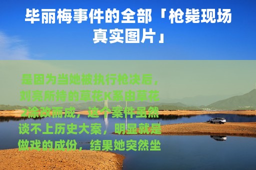 毕丽梅事件的全部「枪毙现场真实图片」