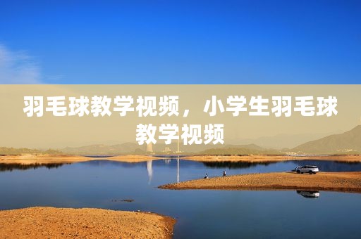 羽毛球教学视频，小学生羽毛球教学视频