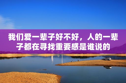 我们爱一辈子好不好，人的一辈子都在寻找重要感是谁说的
