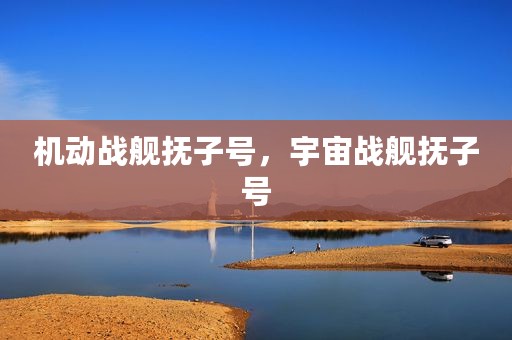 机动战舰抚子号，宇宙战舰抚子号
