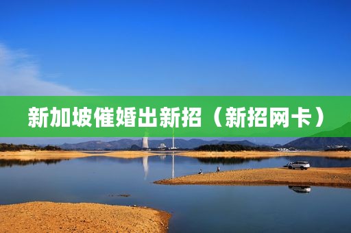 新加坡催婚出新招（新招网卡）