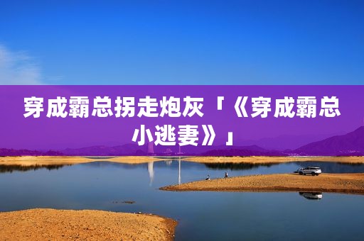穿成霸总拐走炮灰「《穿成霸总小逃妻》」