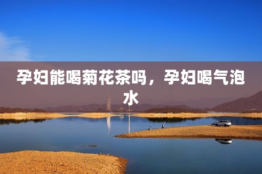 孕妇能喝菊花茶吗，孕妇喝气泡水