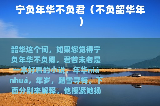 宁负年华不负君（不负韶华年）