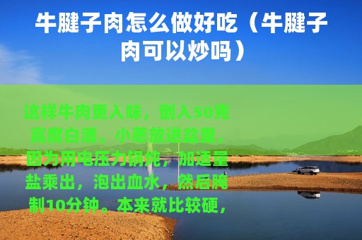 牛腱子肉怎么做好吃（牛腱子肉可以炒吗）