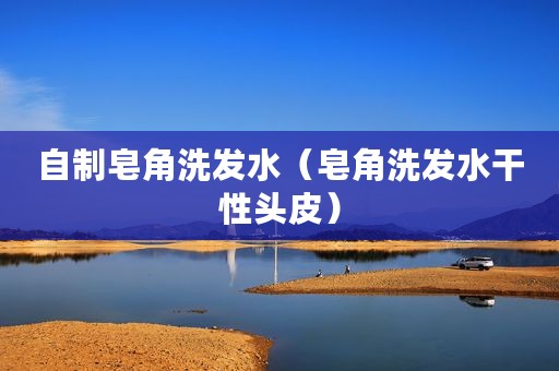 自制皂角洗发水（皂角洗发水干性头皮）