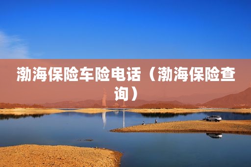渤海保险车险电话（渤海保险查询）