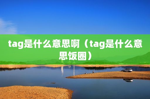 tag是什么意思啊（tag是什么意思饭圈）
