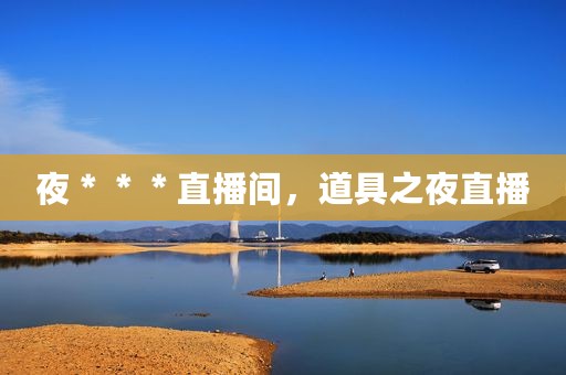 夜＊＊＊直播间，道具之夜直播