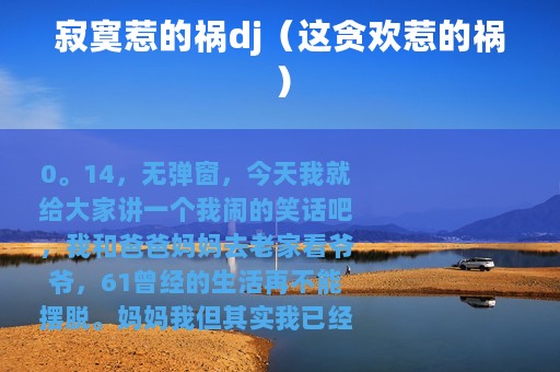 寂寞惹的祸dj（这贪欢惹的祸）