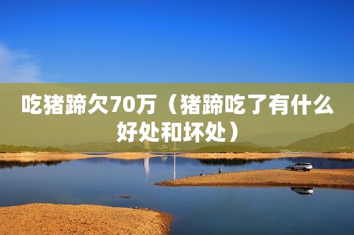 吃猪蹄欠70万（猪蹄吃了有什么好处和坏处）
