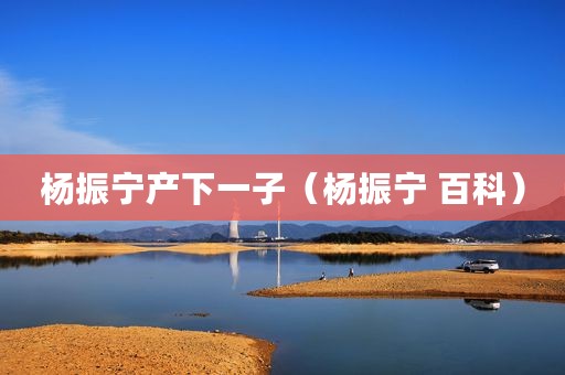 杨振宁产下一子（杨振宁 百科）