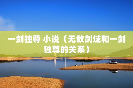 一剑独尊 小说（无敌剑域和一剑独尊的关系）