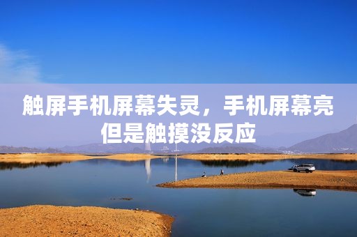 触屏手机屏幕失灵，手机屏幕亮但是触摸没反应