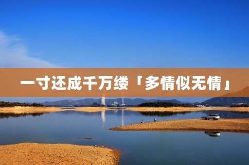 一寸还成千万缕「多情似无情」