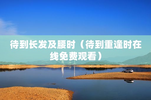 待到长发及腰时（待到重逢时在线免费观看）