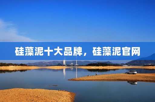 硅藻泥十大品牌，硅藻泥官网