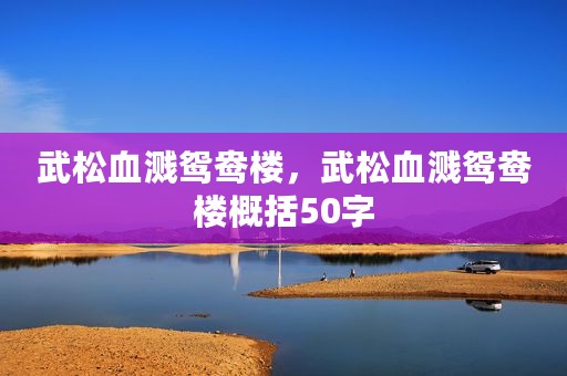 武松血溅鸳鸯楼，武松血溅鸳鸯楼概括50字