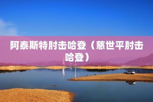 阿泰斯特肘击哈登（慈世平肘击哈登）