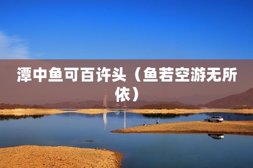 潭中鱼可百许头（鱼若空游无所依）