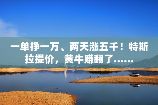 一单挣一万、两天涨五千！特斯拉提价，黄牛赚翻了……