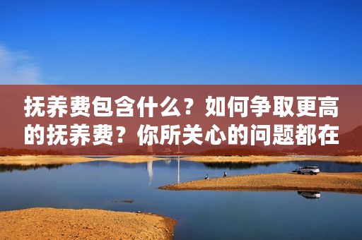 抚养费包含什么？如何争取更高的抚养费？你所关心的问题都在这里