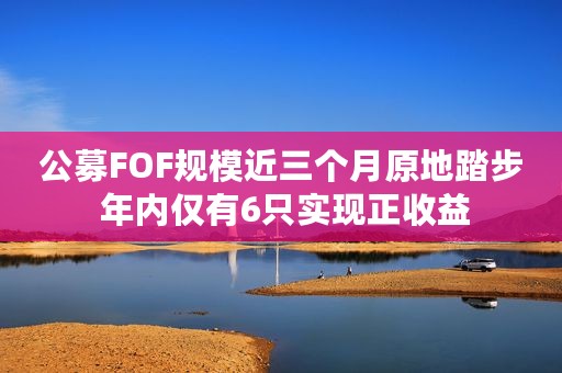 公募FOF规模近三个月原地踏步 年内仅有6只实现正收益
