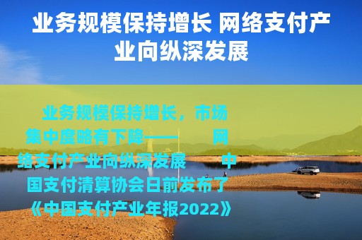 业务规模保持增长 网络支付产业向纵深发展