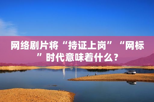 网络剧片将“持证上岗”“网标”时代意味着什么？