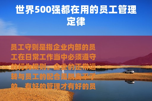 世界500强都在用的员工管理定律