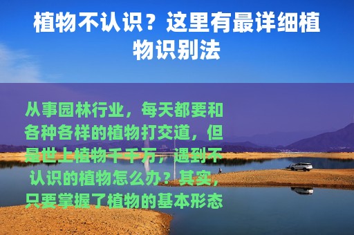植物不认识？这里有最详细植物识别法