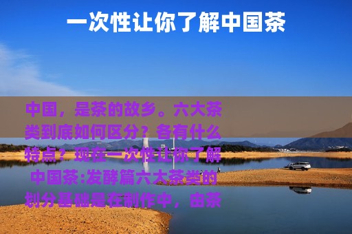 一次性让你了解中国茶