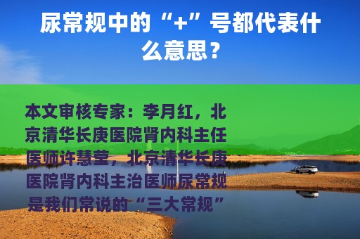 尿常规中的“+”号都代表什么意思？