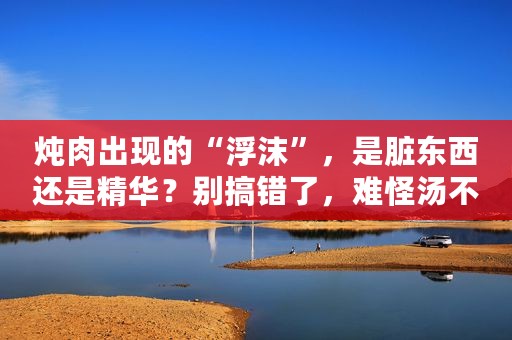 炖肉出现的“浮沫”，是脏东西还是精华？别搞错了，难怪汤不鲜