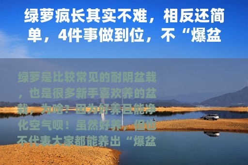 绿萝疯长其实不难，相反还简单，4件事做到位，不“爆盆”才怪