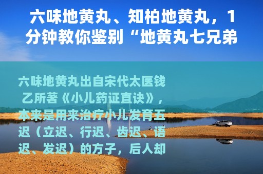 六味地黄丸、知柏地黄丸，1分钟教你鉴别“地黄丸七兄弟”