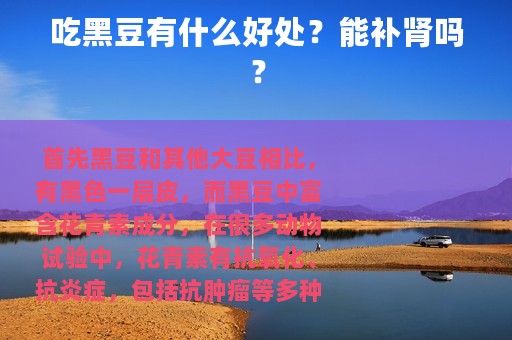 吃黑豆有什么好处？能补肾吗？