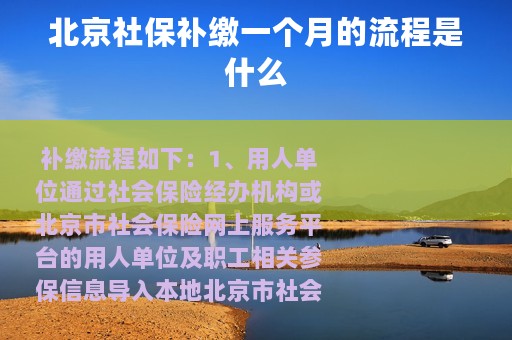 北京社保补缴一个月的流程是什么
