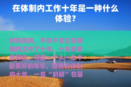 在体制内工作十年是一种什么体验？