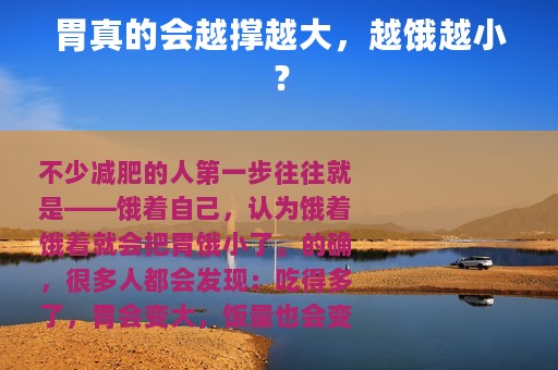 胃真的会越撑越大，越饿越小？