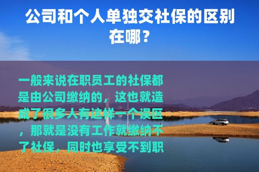 公司和个人单独交社保的区别在哪？