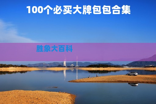 100个必买大牌包包合集