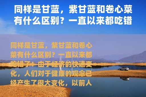 同样是甘蓝，紫甘蓝和卷心菜有什么区别？一直以来都吃错了！