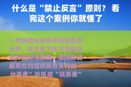 什么是“禁止反言”原则？ 看完这个案例你就懂了