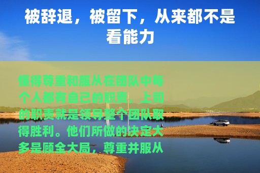 被辞退，被留下，从来都不是看能力