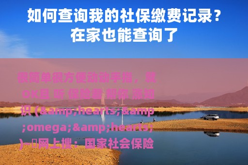 如何查询我的社保缴费记录？在家也能查询了